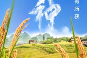 黔南芒种节气小知识来了 夏种作物都有什么？