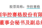 黔南华控赛格董事长、董秘、副总经理三高管同日辞职